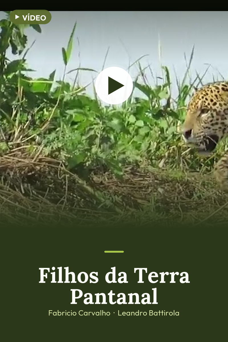 Vídeo Filhos da Terra Pantanal