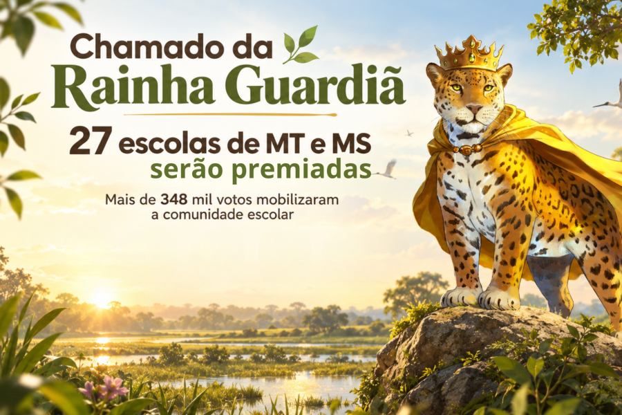 noticia 21